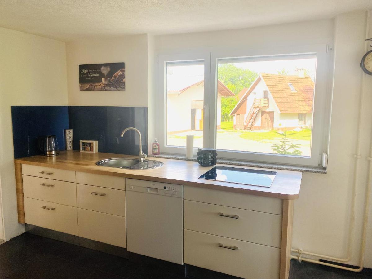 Ferienwohnung Ellenweiler Bis 15 P FDH Esterno foto